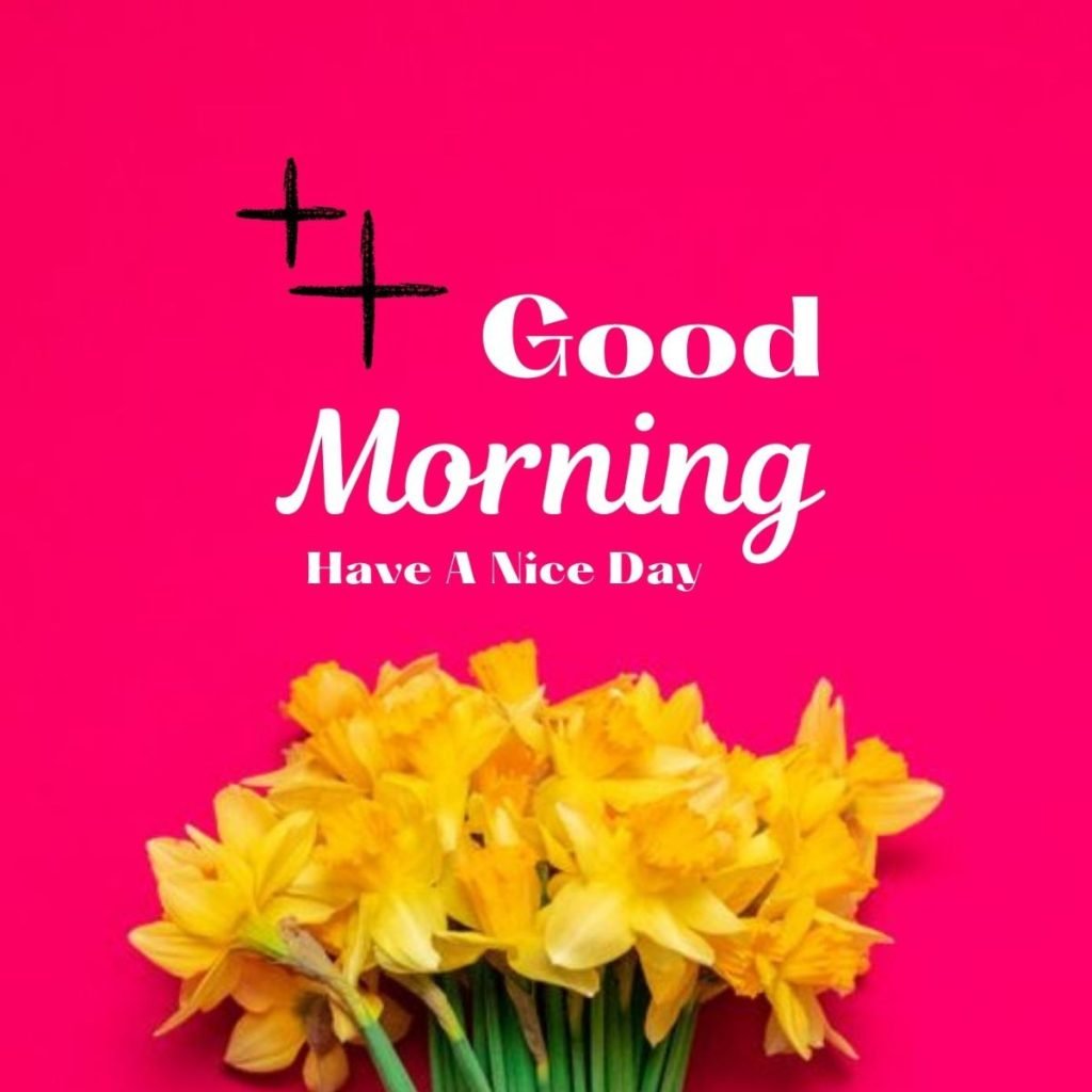 good morning flowers hd images